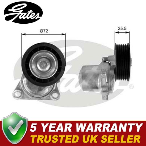 Gates drive belt - drive, tensioner